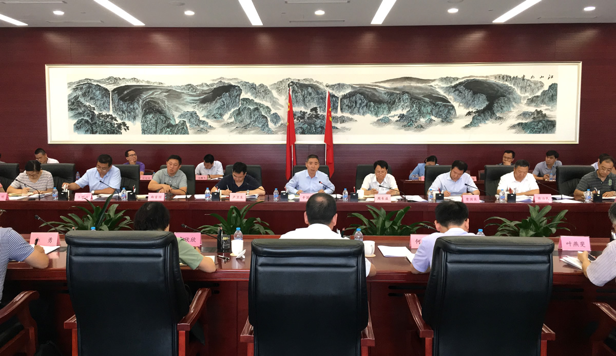 辛國斌副部長主持召開國家新材料產業領導小...